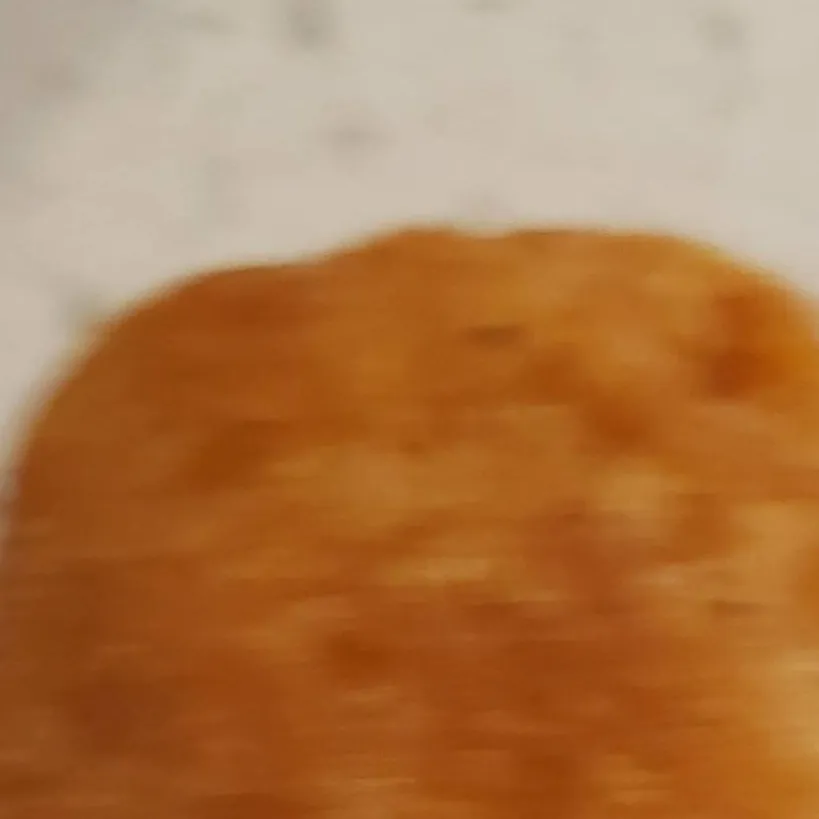 chat with ai character: nugget