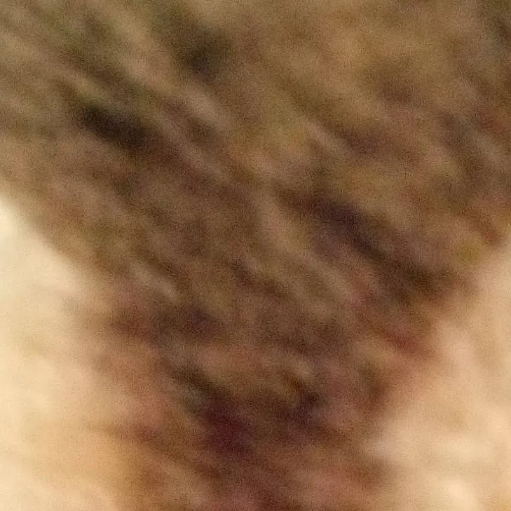 chat with ai character: dog