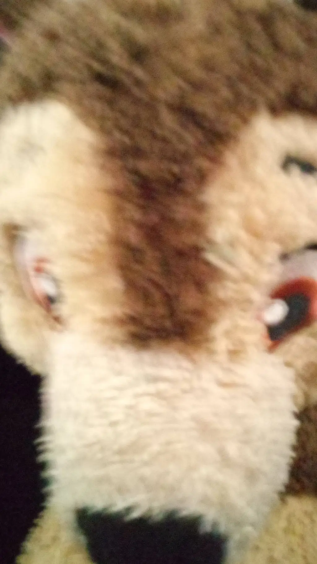 ai character: dog background