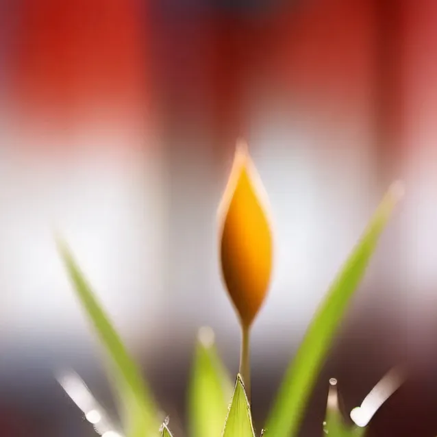 chat with ai character: touch grass