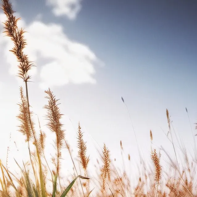 chat with ai character: 💀💀💀💀💀