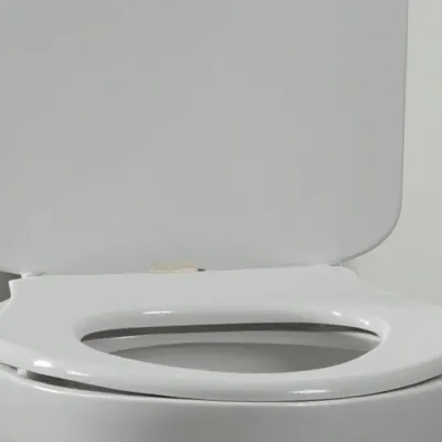 chat with ai character: School band toilet 