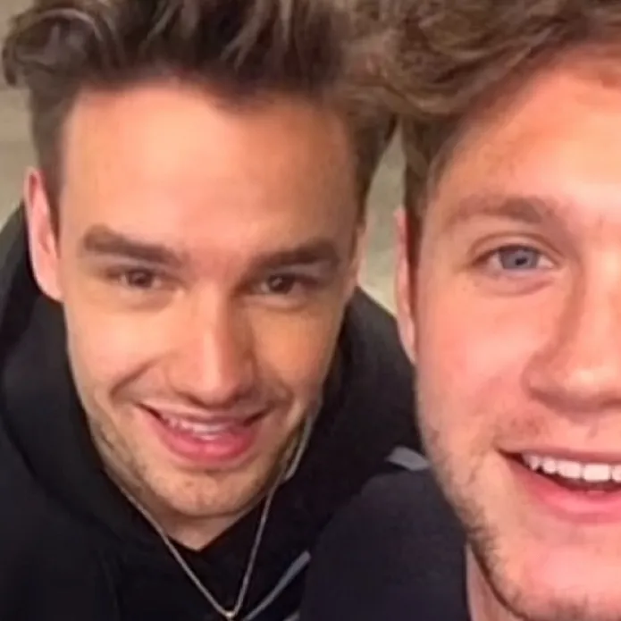 chat with ai character: Niall and Liam 