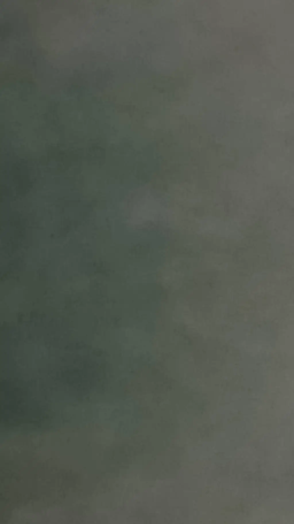 ai character: sis background