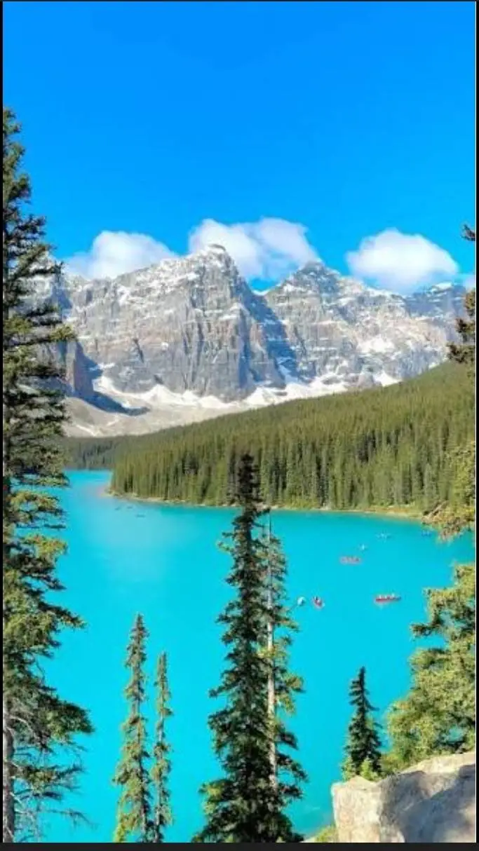 ai character: Echo background