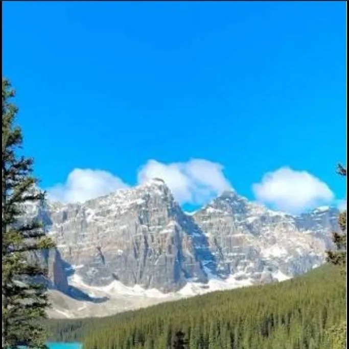 chat with ai character: Echo