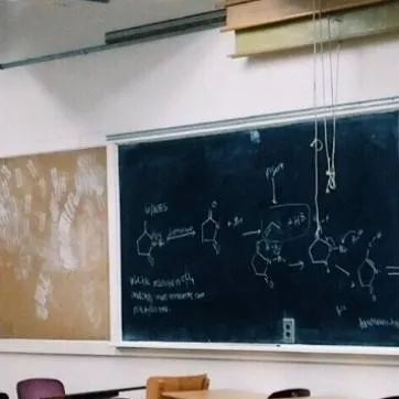 chat with ai character: School