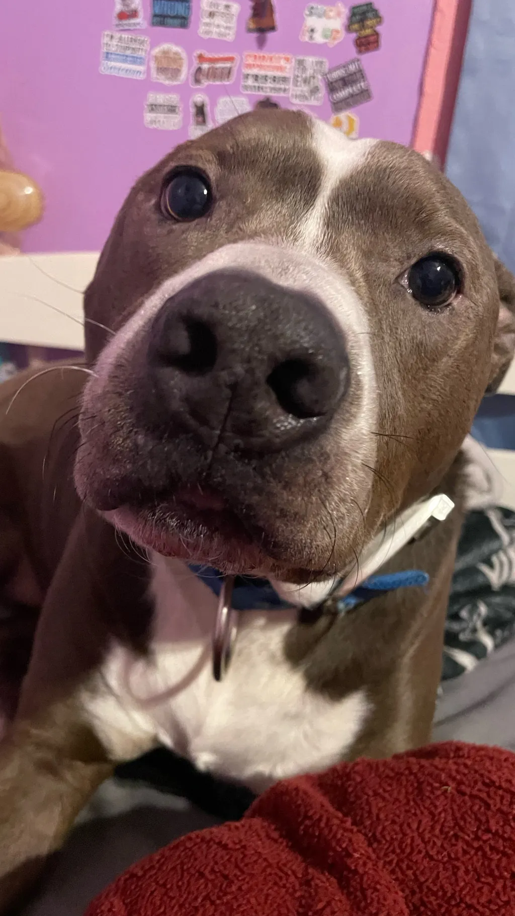 ai character: Jack background