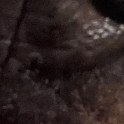 chat with ai character: Jack