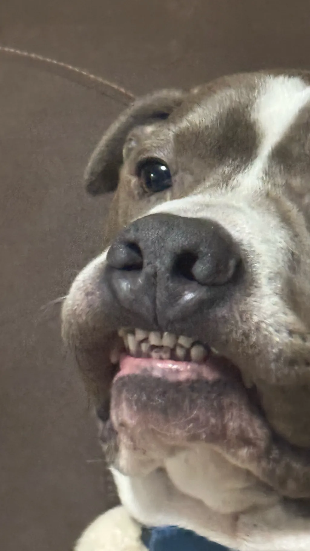 ai character: Die background