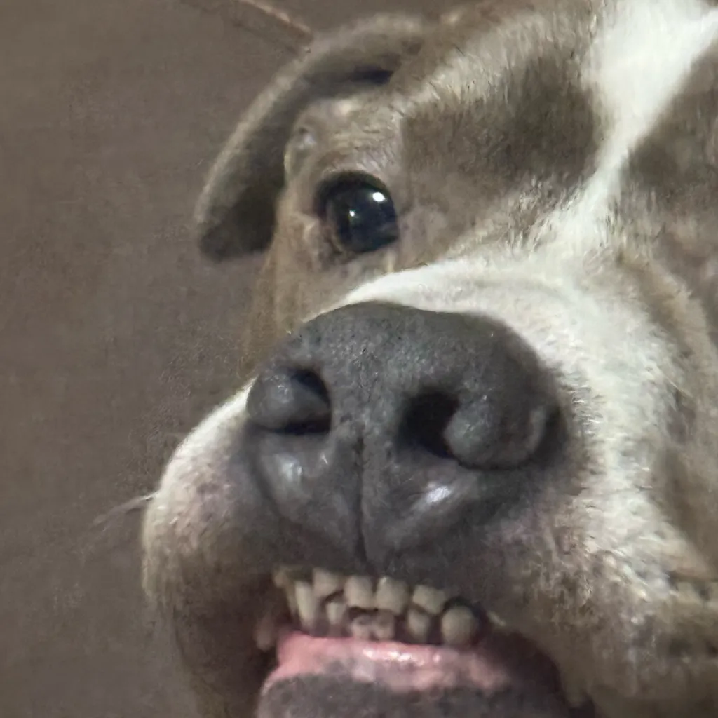 chat with ai character: Die