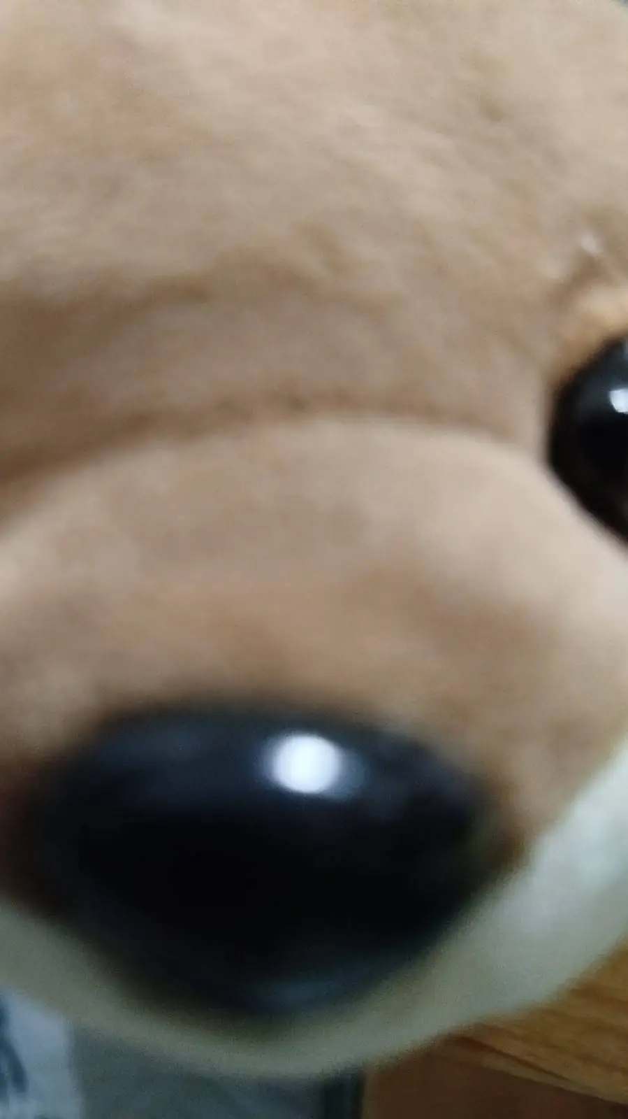 ai character: Rockstar background