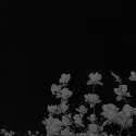 chat with ai character: JJK SCARY MOVIE