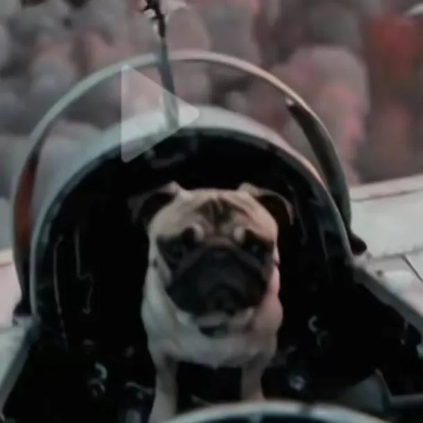 chat with ai character: ultra pug