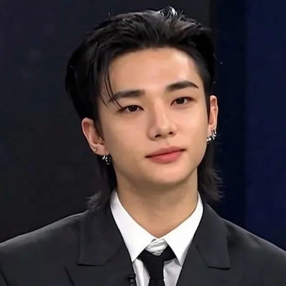 chat with ai character: Hwang Hyunjin 