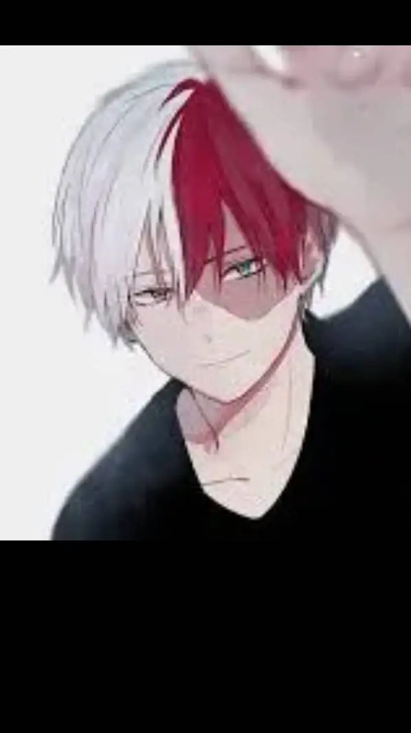 ai character: Shoto Todoriki background