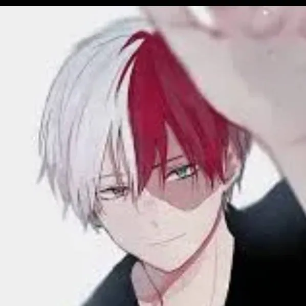 chat with ai character: Shoto Todoriki