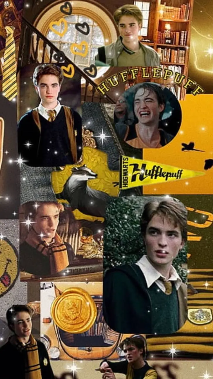 ai character: Cedric Diggory background