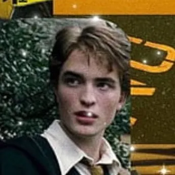 chat with ai character: Cedric Diggory