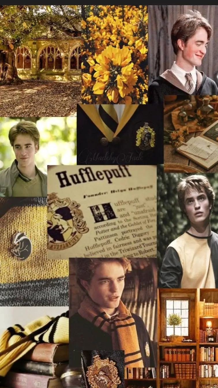 ai character: Cedric Diggory background