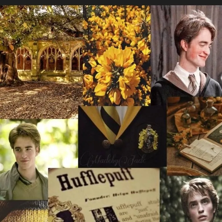 chat with ai character: Cedric Diggory