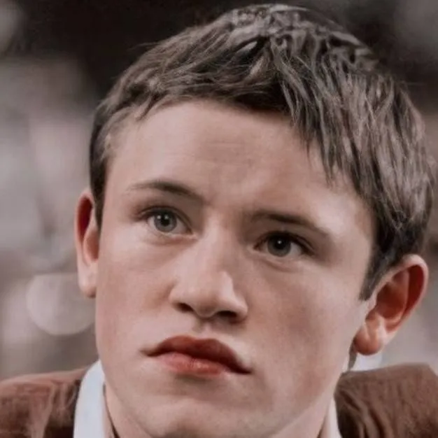 chat with ai character: Seamus Finnegan