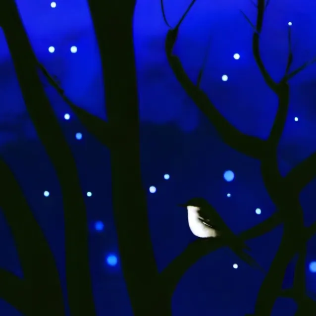 chat with ai character: DAN DA DAN✨️