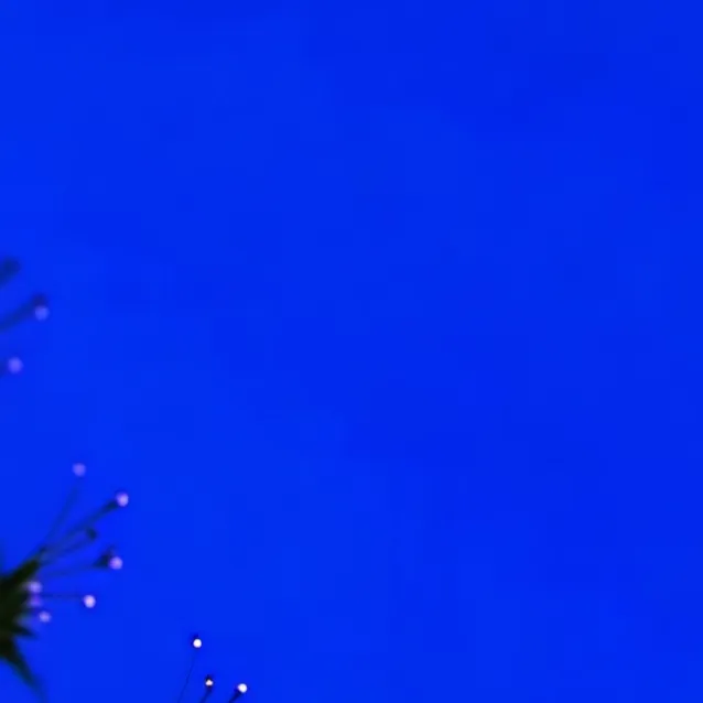 chat with ai character: Spidey,super team 