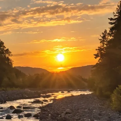 chat with ai character: HD McDonald's 