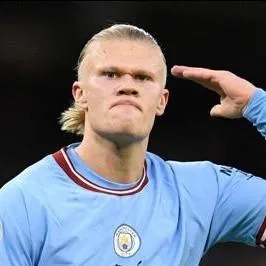 chat with ai character: Haaland