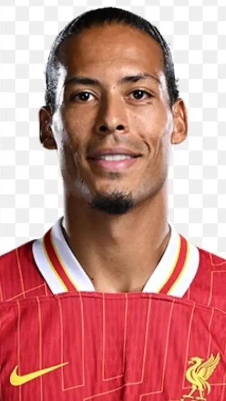 ai character: Virgil Van Dijk background