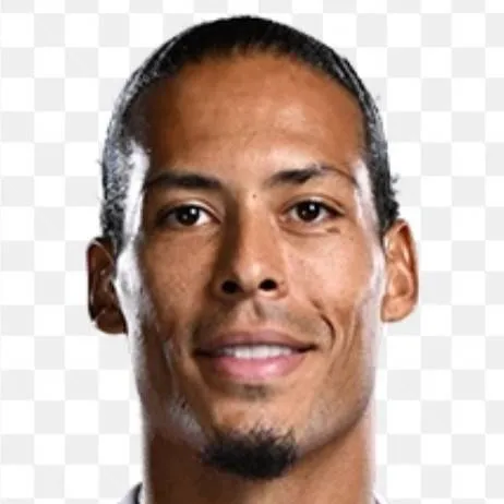 chat with ai character: Virgil Van Dijk