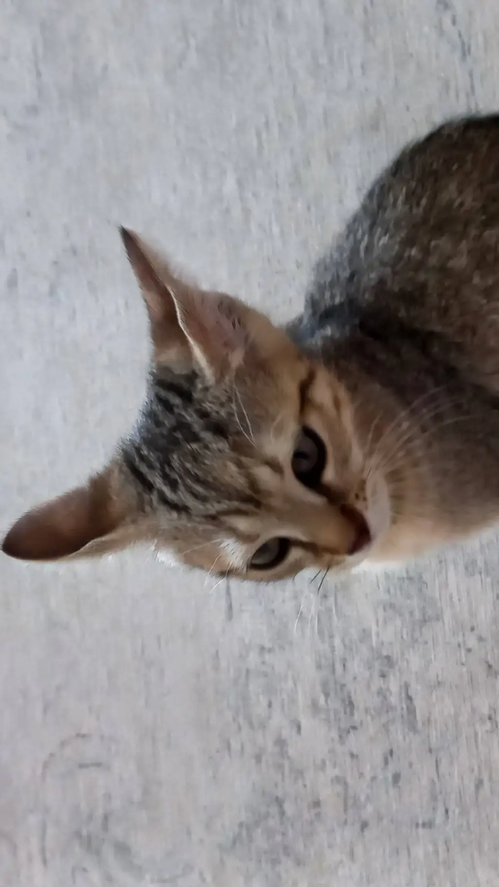 ai character: deku background