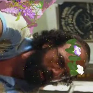 chat with ai character: Fairy Murray