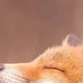 chat with ai character: MD Christmas