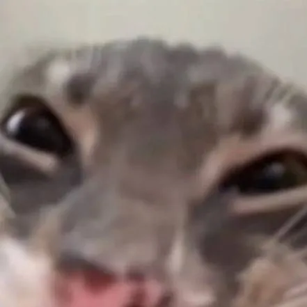 chat with ai character: mha pick me x kiri