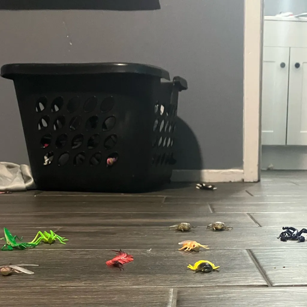 chat with ai character: Insect’s life￼￼