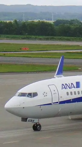 ai character: Boeing 737-800 background