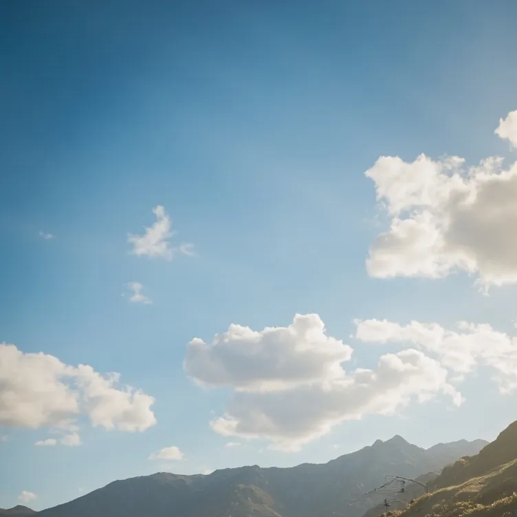 chat with ai character: the long walk