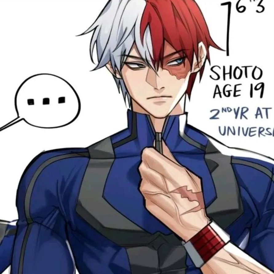 chat with ai character: Shoto Todoroki IT