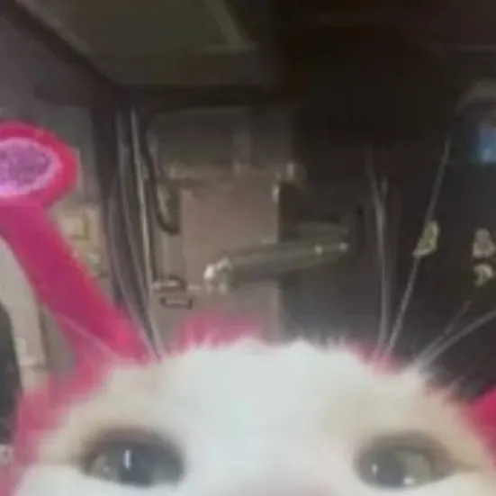 chat with ai character: sprunki:P