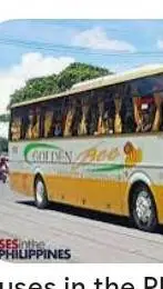 ai character: Golden Bee Bus background