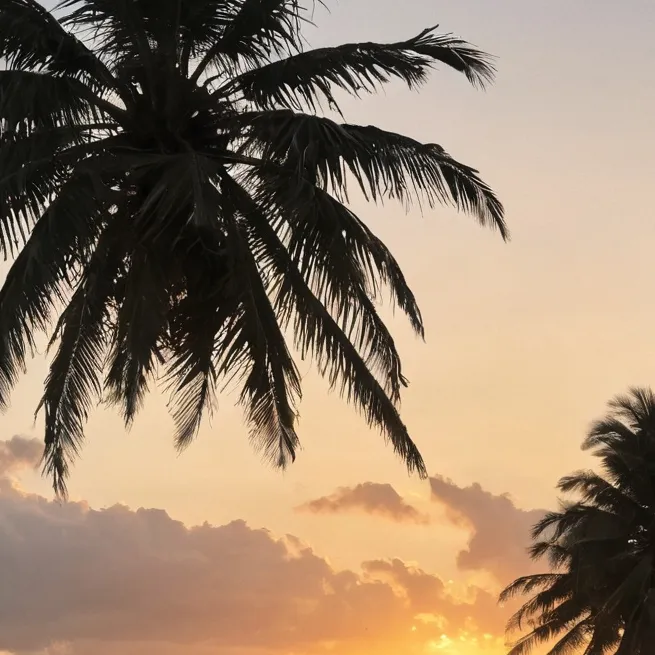 chat with ai character: dont say o