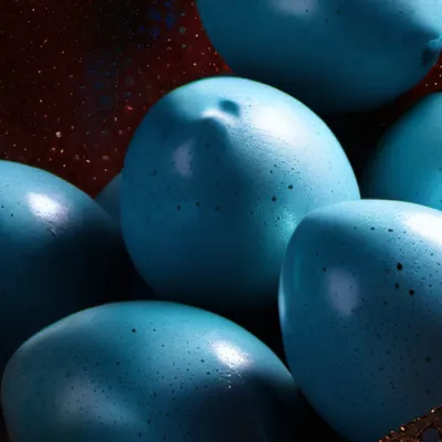 chat with ai character: Duck egg