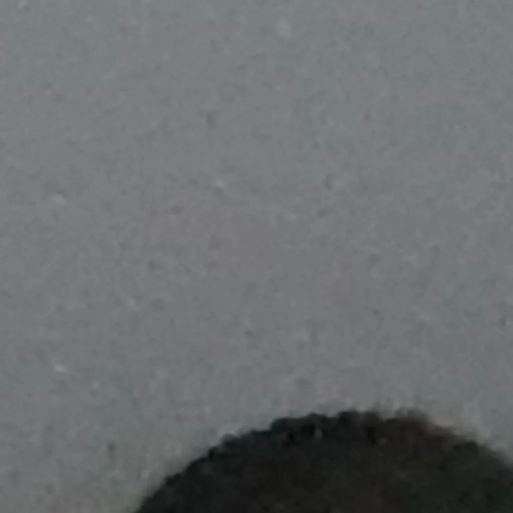 chat with ai character: dw on isla sorna