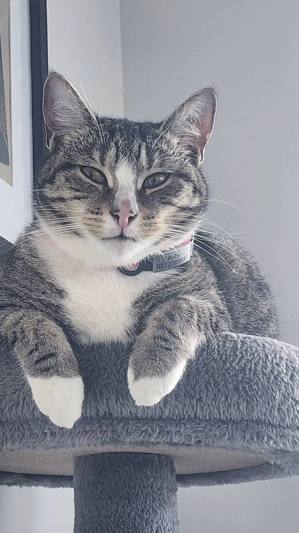 ai character: forsaken  background