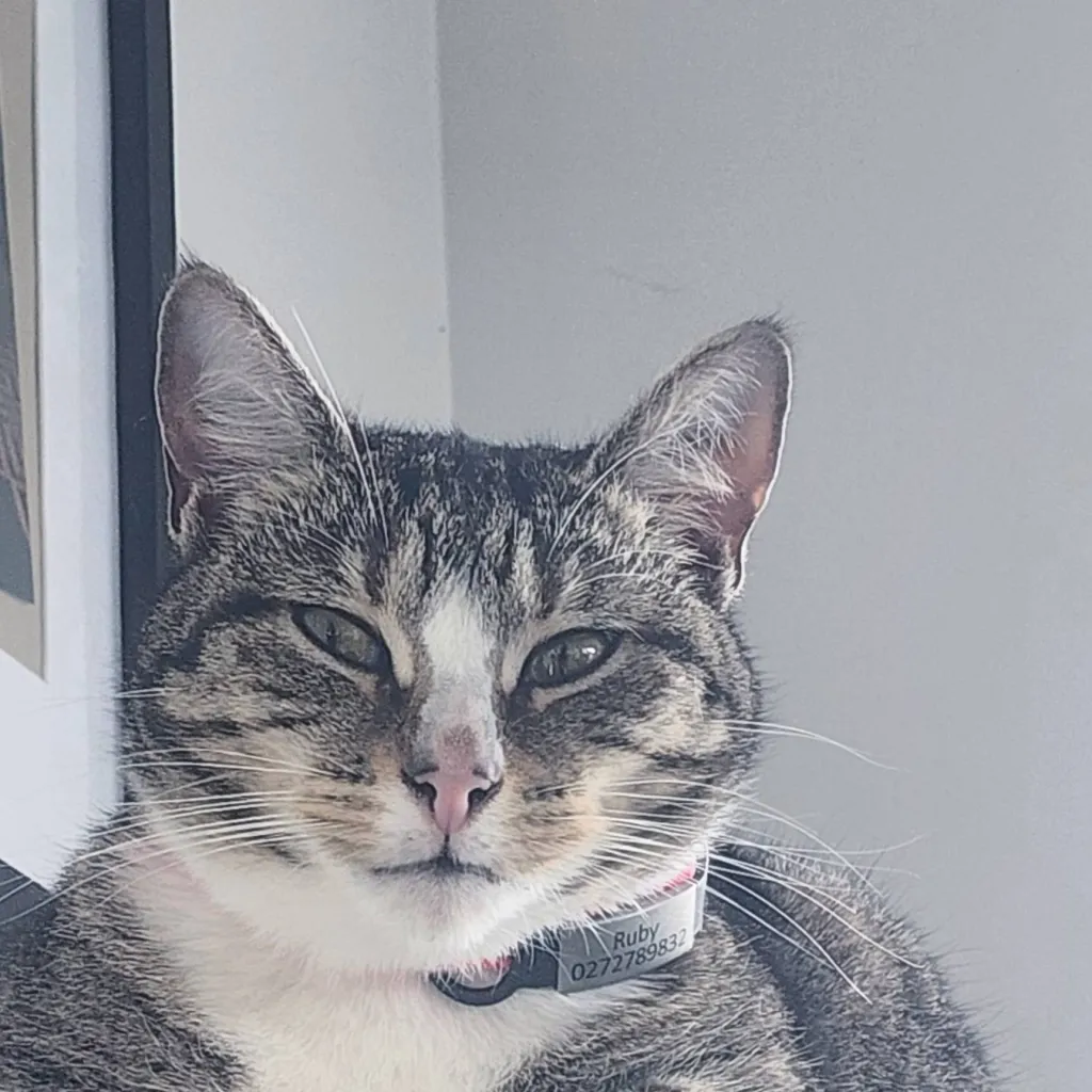 chat with ai character: forsaken 