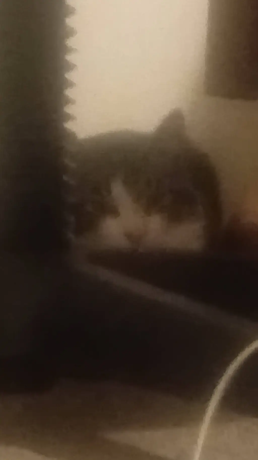 ai character: idk js posted this background