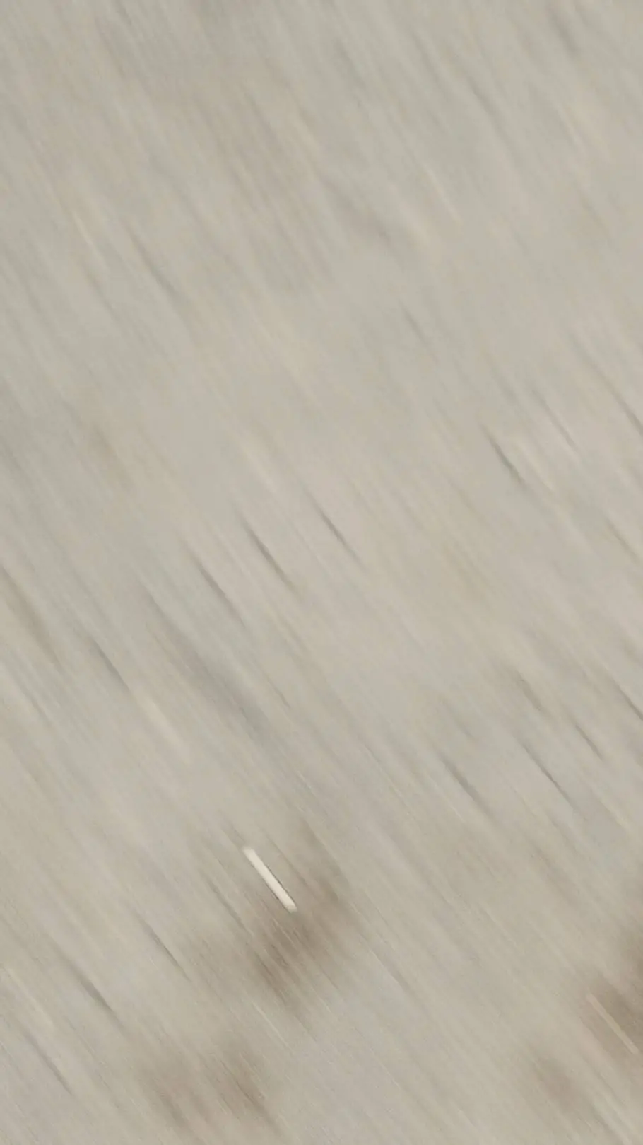 ai character: FPE background