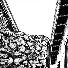 chat with ai character: lady from window